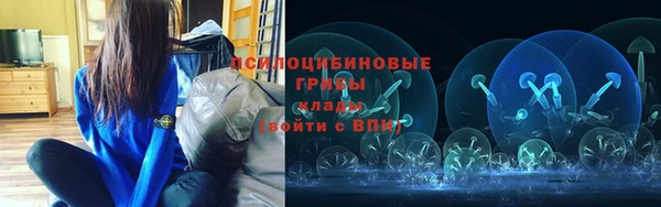 круглые Алексеевка