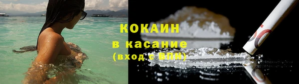 твердый Вязьма