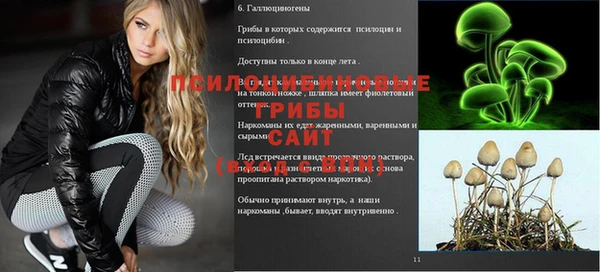 прущая мука Алексин