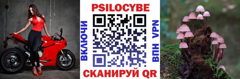 Псилоцибиновые грибы GOLDEN TEACHER Лесосибирск
