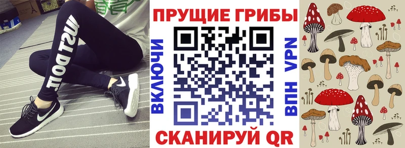 Галлюциногенные грибы мицелий  omg вход  Лесосибирск 
